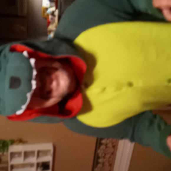 Tyrannosaurus Rex pajamas or Halloween costume - Picture 11 of 17